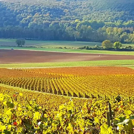 Seine En Bulles * Bar-sur-Seine
