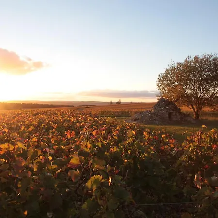 Feriehus Seine En Bulles Bar-sur-Seine
