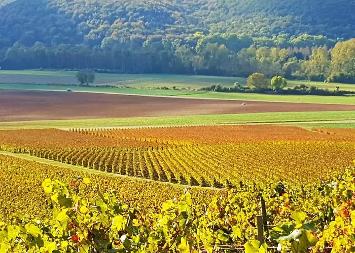 Seine En Bulles * Bar-sur-Seine